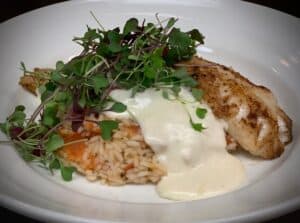 Grilled fish fillet served with rice, microgreens, and creamy sauce at Angelo's Restaurant.